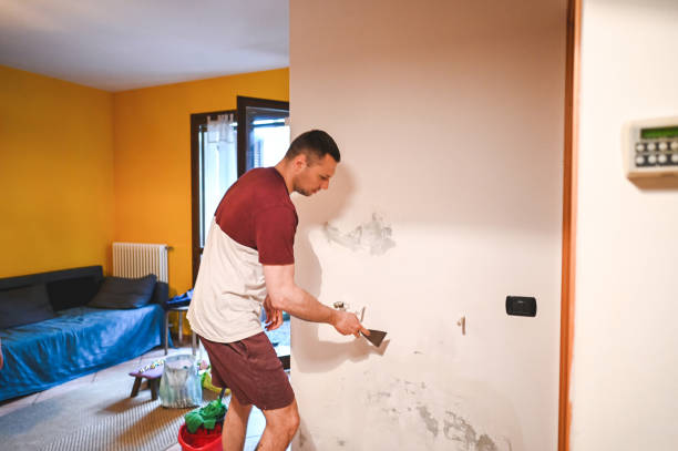 Best Same-Day Mold Removal  in Stafford Courthouse, VA